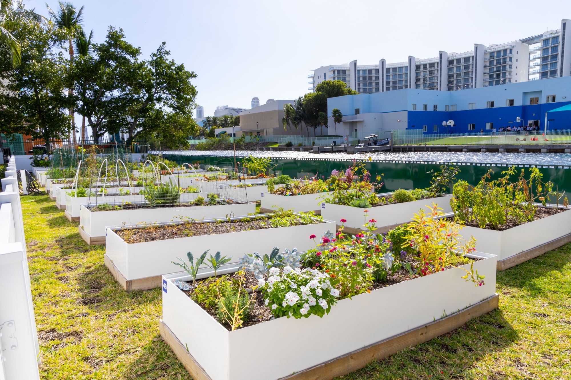 Aventura Community Green Garden
